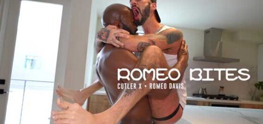 You've never met someone who likes fucking as much as Romeo Davis. He travels the world looking for the biggest dick and the sluttiest asses to suck and fuck.